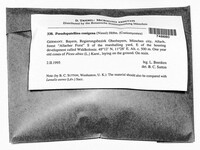 Image Associated With the Occurence